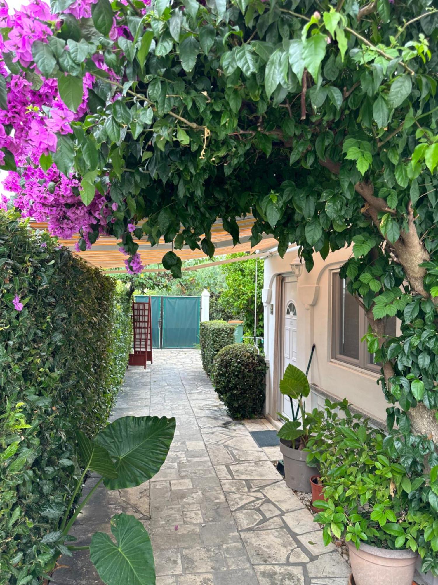 Luxury Residence Zola Zadar Eksteriør billede